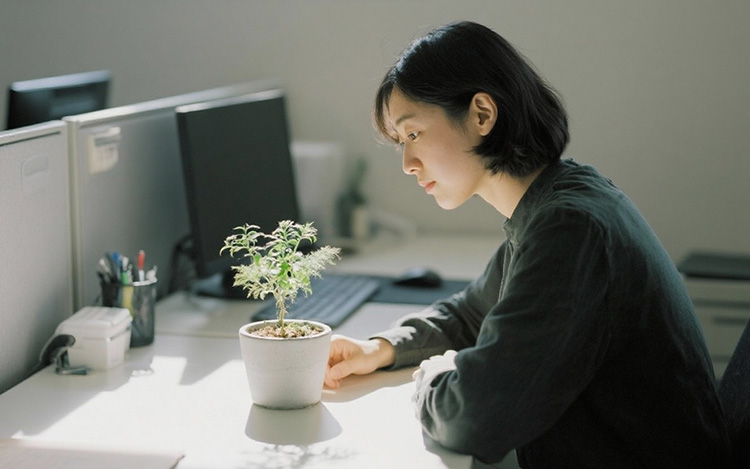 Employees quiet quit