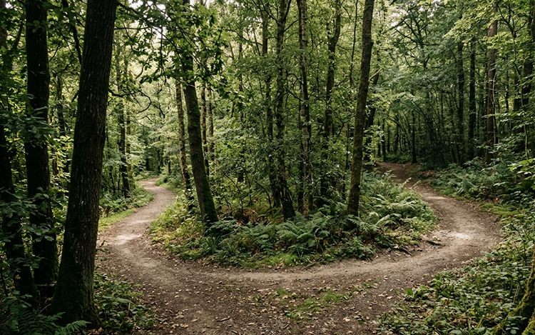A winding path looping back on itself representing repeating relationship patterns